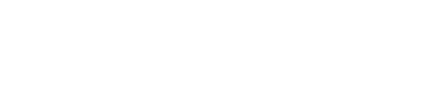 Phoenix Foundation